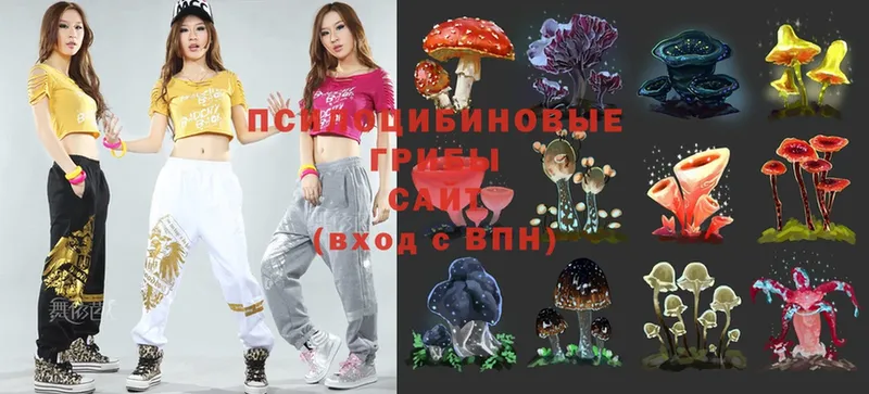 Псилоцибиновые грибы Magic Shrooms  Азнакаево 