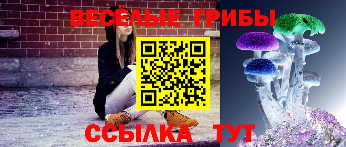 Галлюциногенные грибы MAGIC MUSHROOMS Азнакаево