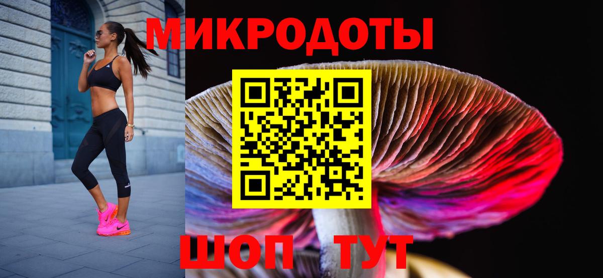 Псилоцибиновые грибы Psilocybine cubensis Азнакаево