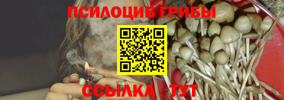 Псилоцибиновые грибы мицелий  Галлюциногенные грибы GOLDEN TEACHER  Вход с VPN  Азнакаево 
