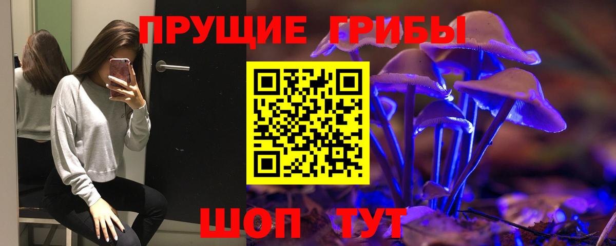 купить   Азнакаево  Галлюциногенные грибы Cubensis 